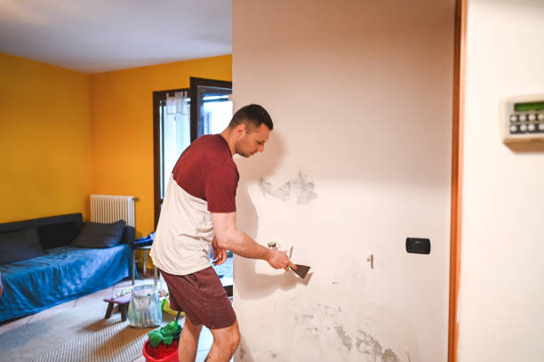 Best Certified Mold Removal  in Whitmore Lake, MI